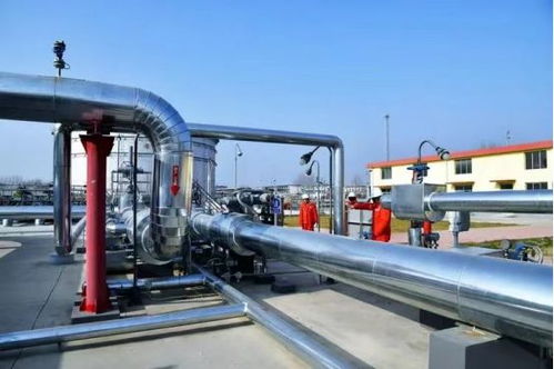 中緬管道合作 互利共贏的戰(zhàn)略選擇